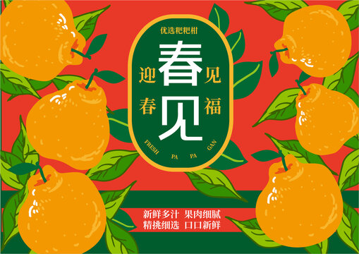 春見粑粑柑包裝插畫