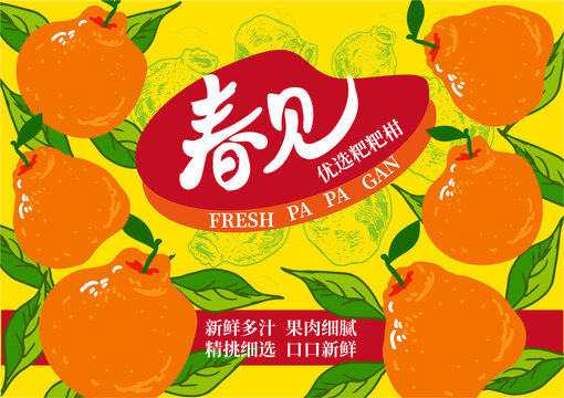 粑粑柑包裝插畫