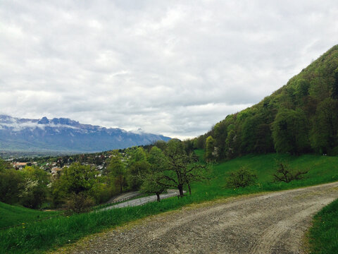 绿色山道