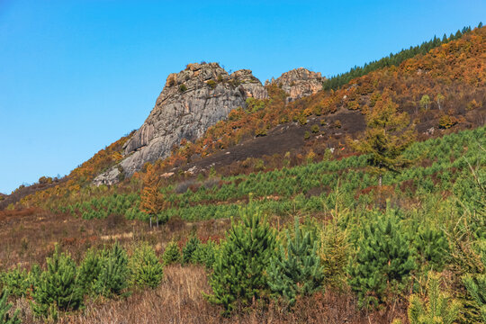 高山山峰秋季森林