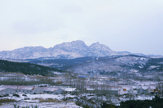 莱州马山