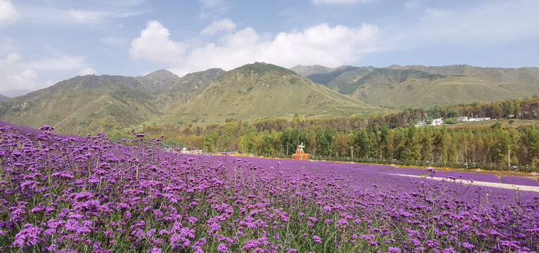 花海