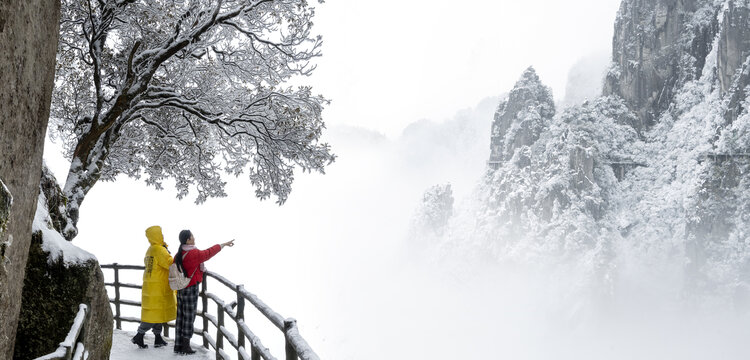 冬雪羊狮慕