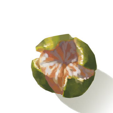 橘子