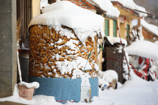 雪景