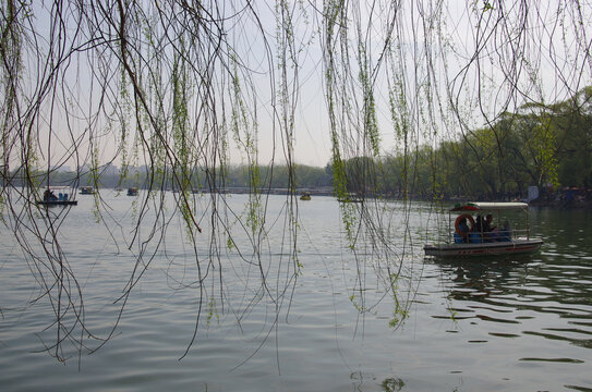 北京玉渊潭公园