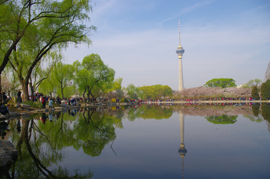 北京玉渊潭公园