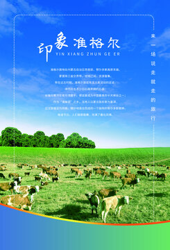 魅力準(zhǔn)格爾