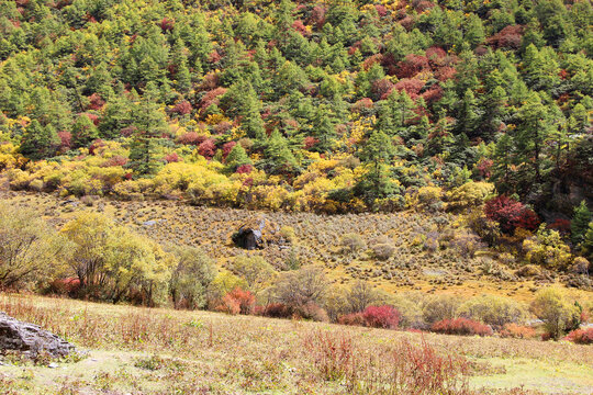 稻城亚丁山峰