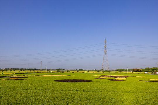 广袤田野