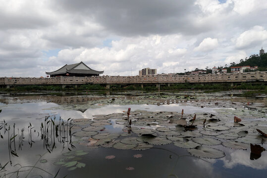 桥头莲湖