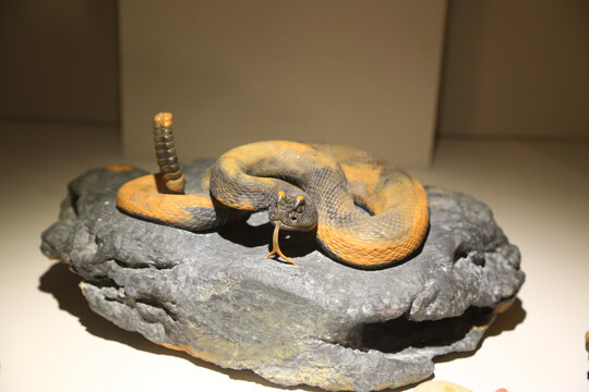 巴林石石雕蛇