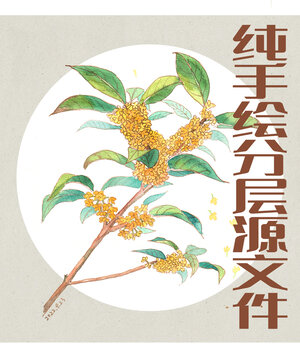 手繪水彩桂花插畫