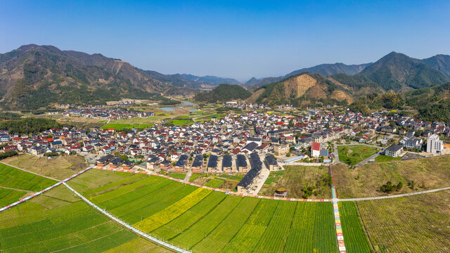 杭州桐庐乡村油菜花风光