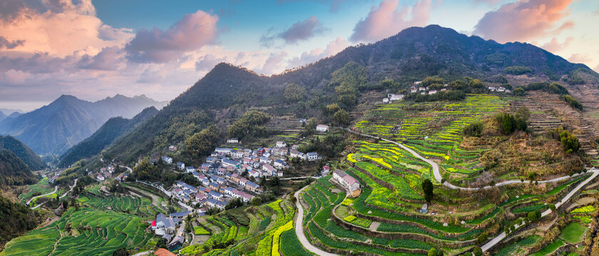 建德胥岭村山村油菜花梯田