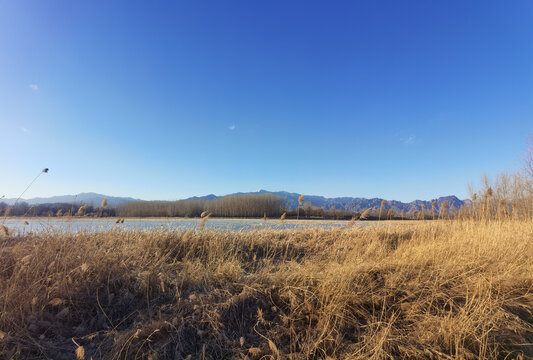 冬日晴空下的远山河流与树林