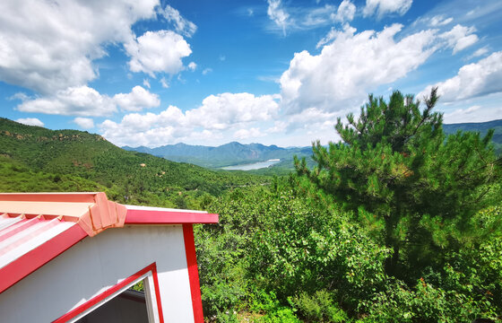 夏日里凉爽的山顶森林