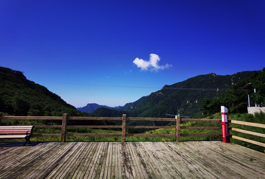 夏日里凉爽的山顶森林