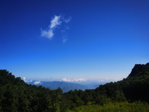 夏日里凉爽的山顶森林