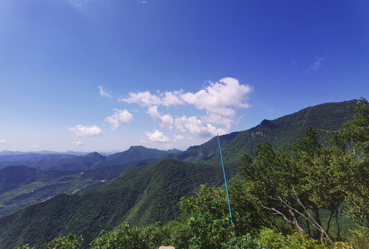 夏日里凉爽的山顶森林