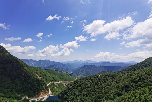 夏日里凉爽的山顶森林