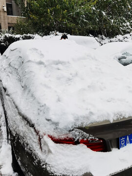 大雪覆盖汽车