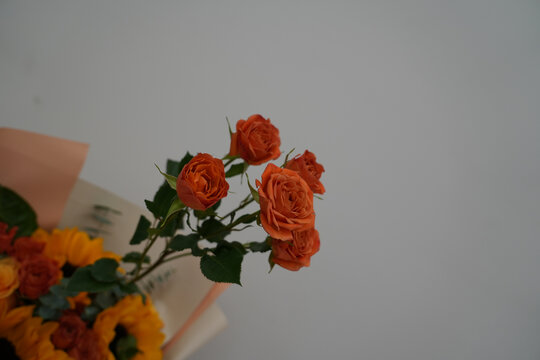 花束花卉玫瑰向日葵