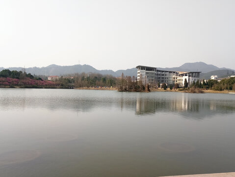 大学风景