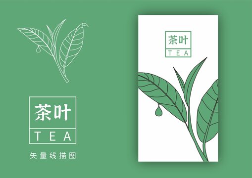 茶叶线描图