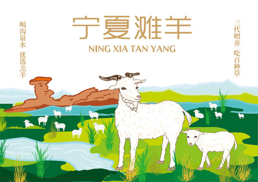 寧夏灘羊包裝插畫