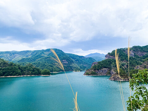 铜钹山风景芦苇