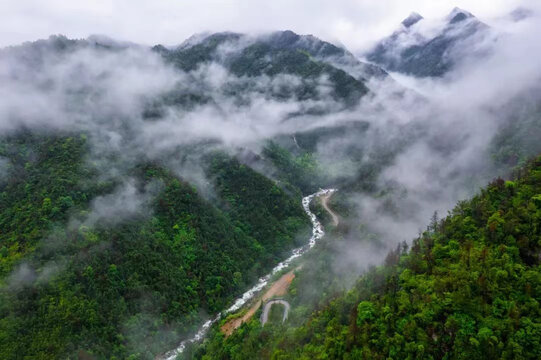 烟雨蒙蒙的大山