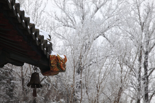 雪后的林里关王庙