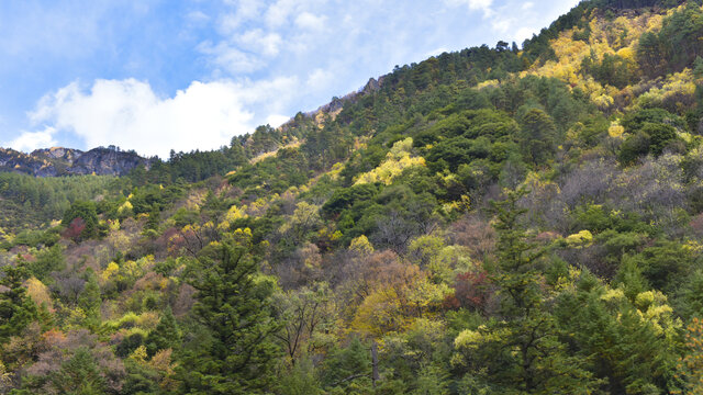 甘孜彩林雪山红叶摄影天堂47