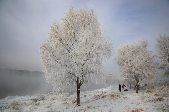 中国东北吉林市城区雾凇景观