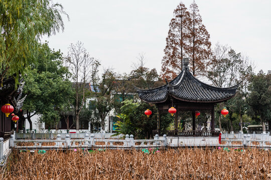 湖州荻港村