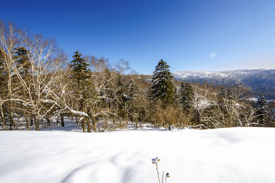 冬季远山森林雪景