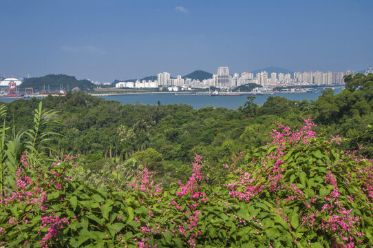 厦门华侨植物引种园风景