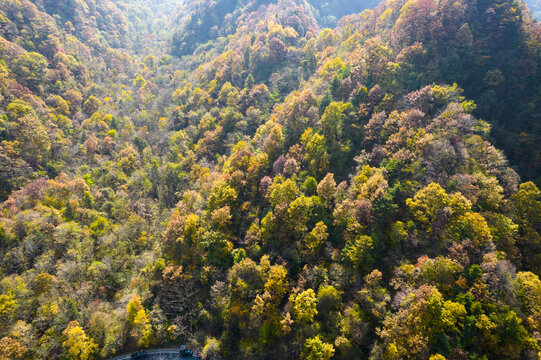 秦岭山秋色