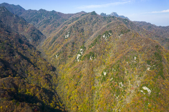 高山