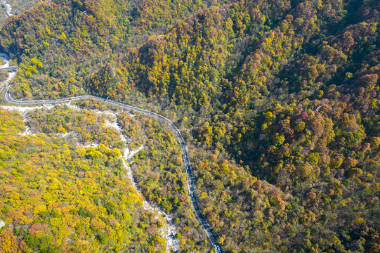 道路