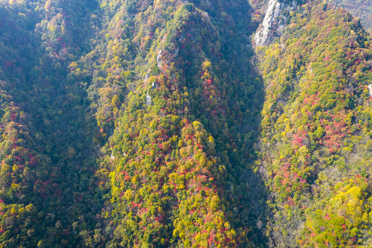 秦岭山秋景