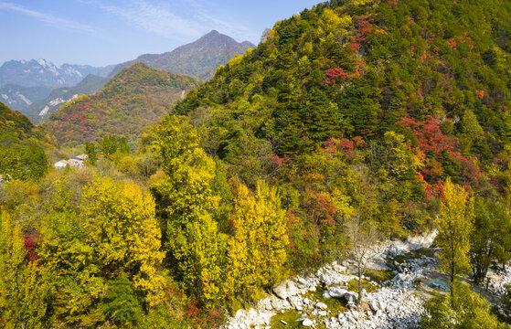 秦岭风光