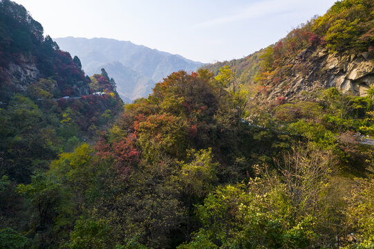 秦岭秋色