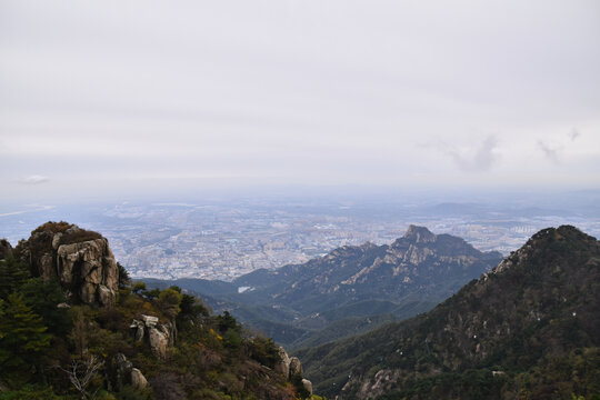 泰山