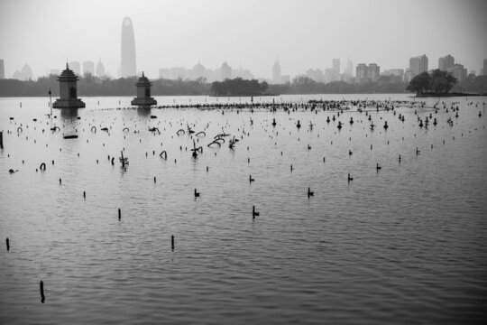 济南大明湖