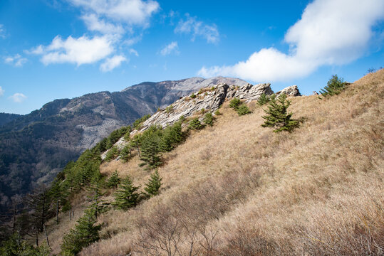 西安朱雀国家森林公园