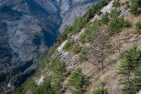 朱雀国家森林公园