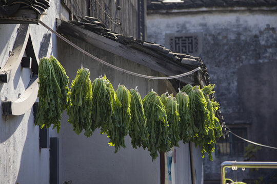 江南农家晒制雪里蕻菜