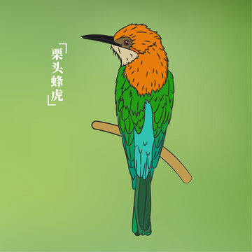 栗頭蜂虎